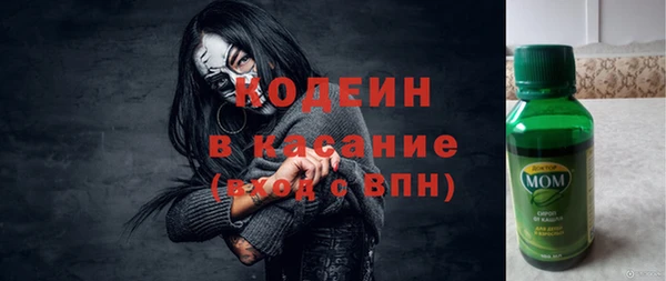 амф Инта