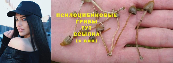 амф Инта
