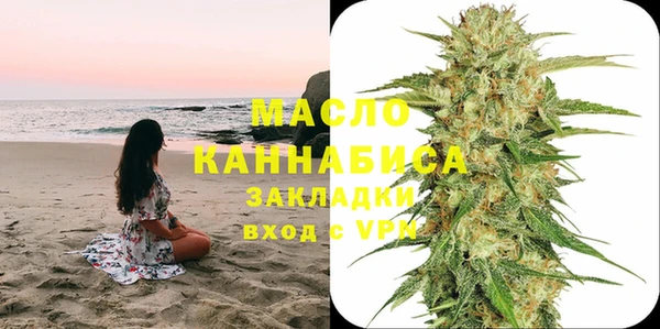 Альфа ПВП Инсар