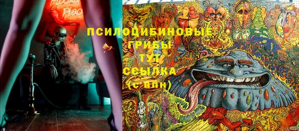 амф Инта
