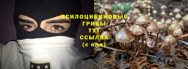 амф Инта