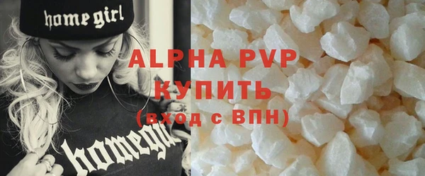 Альфа ПВП Инсар