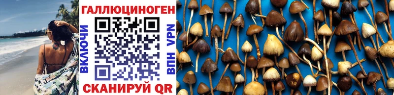 Купить  Усолье  Псилоцибиновые грибы прущие грибы 
