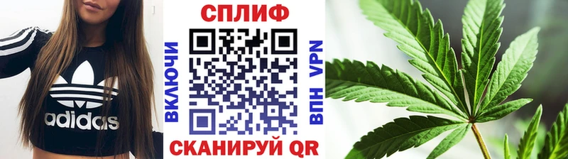 Купить где  Усолье  Марихуана OG Kush 